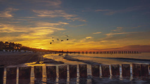 Zingst Sonnenuntergang
